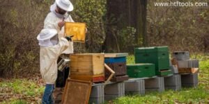 The Best Beekeeping Apps for Android and iOS in 2024