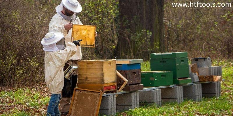 The Best Beekeeping Apps for Android and iOS in 2024