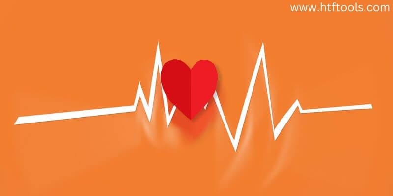 Top 10 Best Heart Rate Monitor Apps In 2024