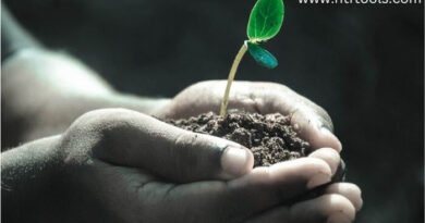 Top 8 Essential Plant Identification Apps for Android & iOS