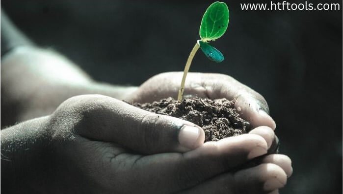 Top 8 Essential Plant Identification Apps for Android & iOS