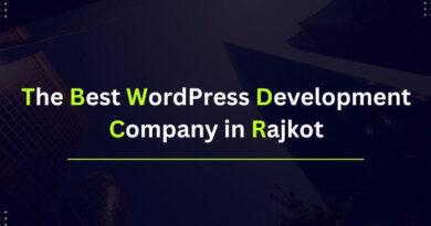 The Best WordPress Development Company in Rajkot