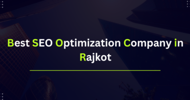 Best SEO Optimization Company in Rajkot