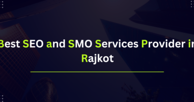 Best SEO and SMO Services Provider in Rajkot