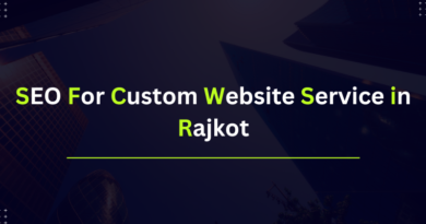 SEO for Custom Website Service in Rajkot