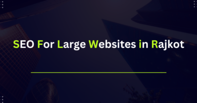 SEO for Large Websites