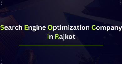 search engine optimization company in rajkot