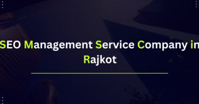 seo management service company in rajkot